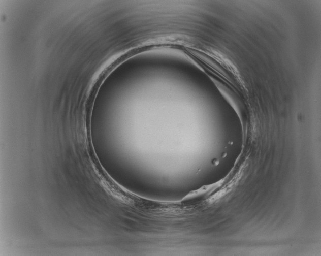 X0000069830792200605221206