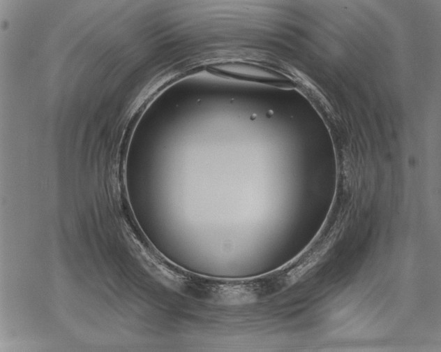 X0000069830794200605221205