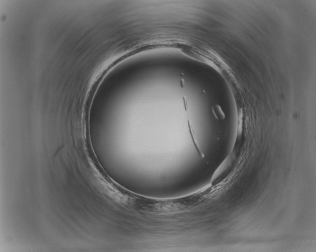 X0000069830795200605221205