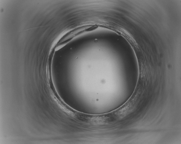 X0000069830796200605221205