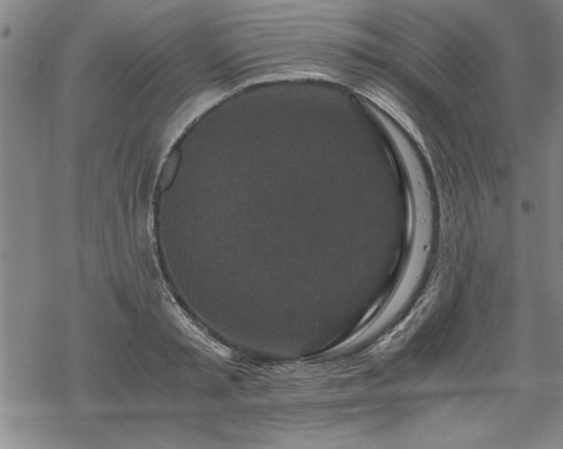 X0000069830797200605221205