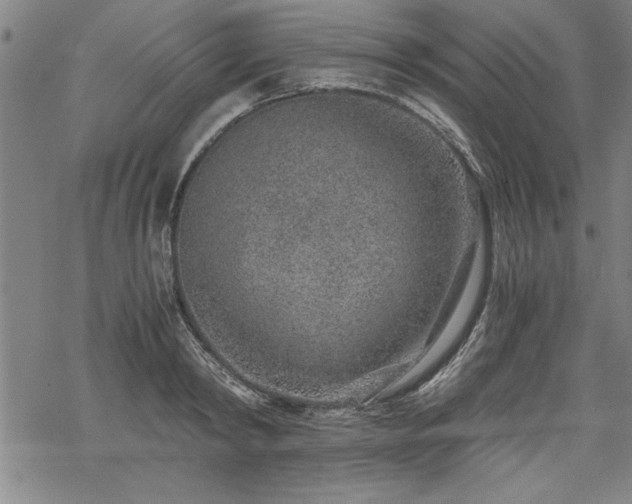 X0000069830798200605221205