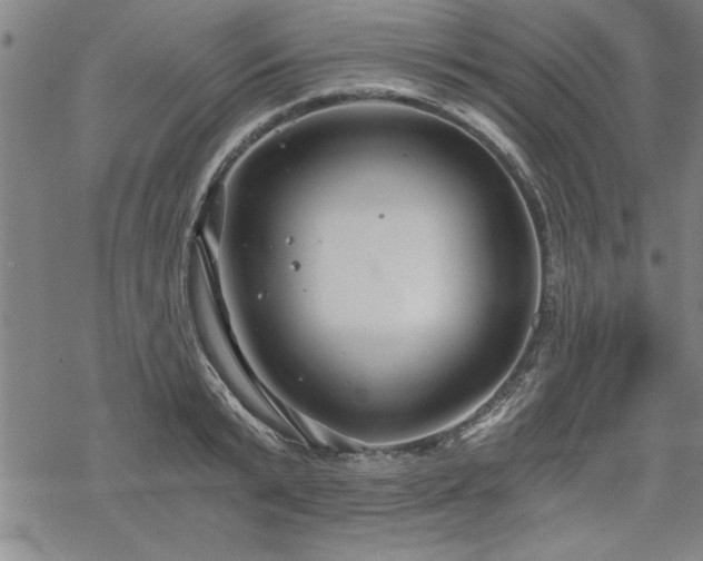 X0000069830799200605221205