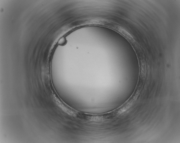 X0000069830800200605221205