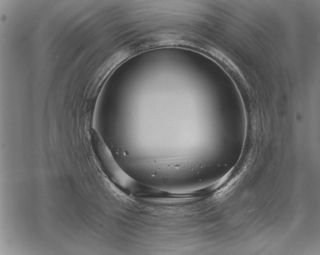 X0000069830801200605221205