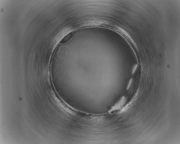 X0000069830802200605221205