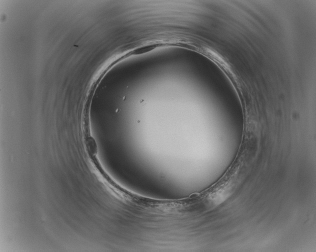 X0000069830803200605221205