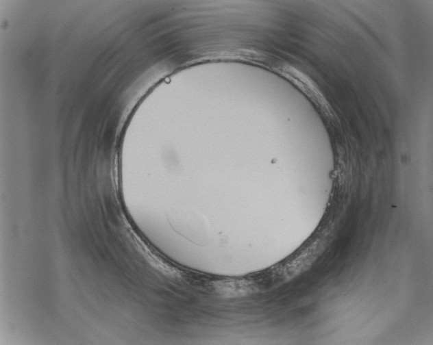 X0000069830804200605221205