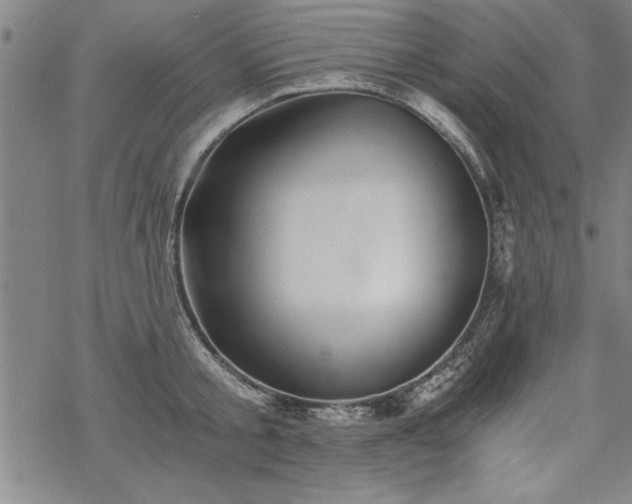 X0000069830805200605221205