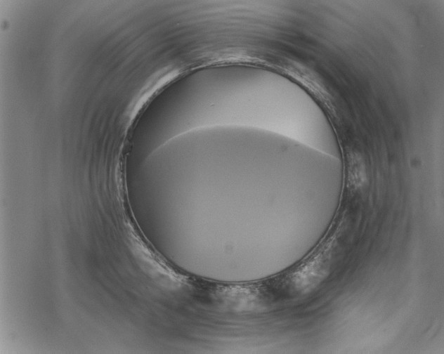 X0000069830806200605221205