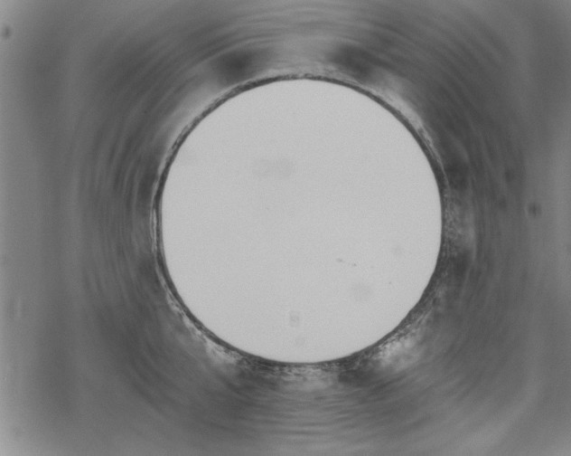 X0000069830807200605221205