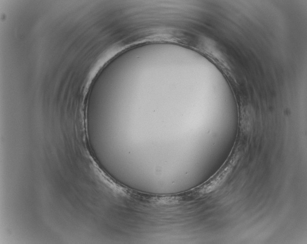 X0000069830808200605221205