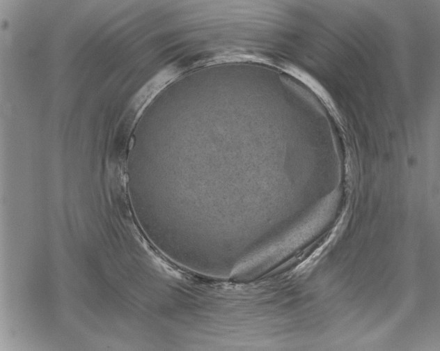 X0000069830809200605221205