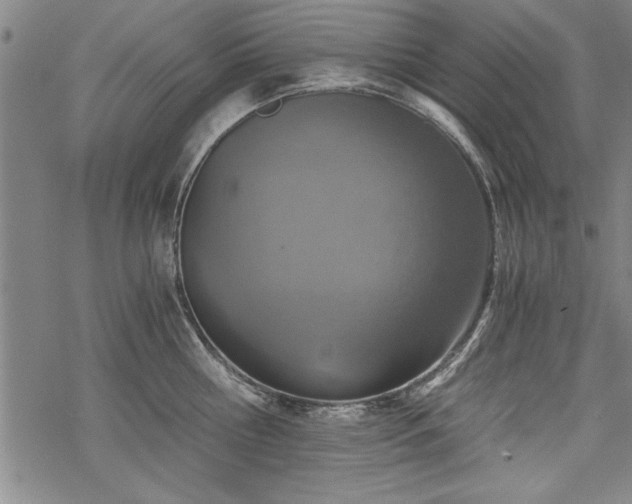 X0000069830810200605221205