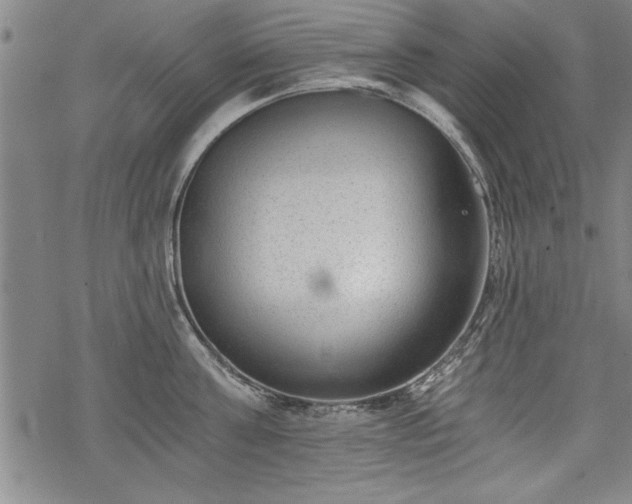 X0000069830811200605221205