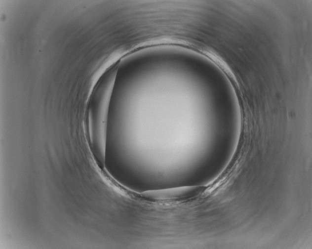 X0000069830813200605221205