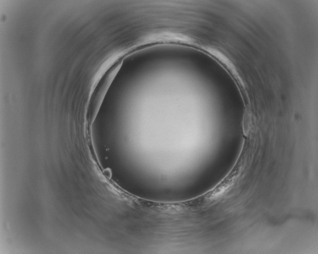 X0000069830815200605221205