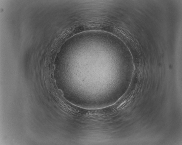 X0000069830817200605221204