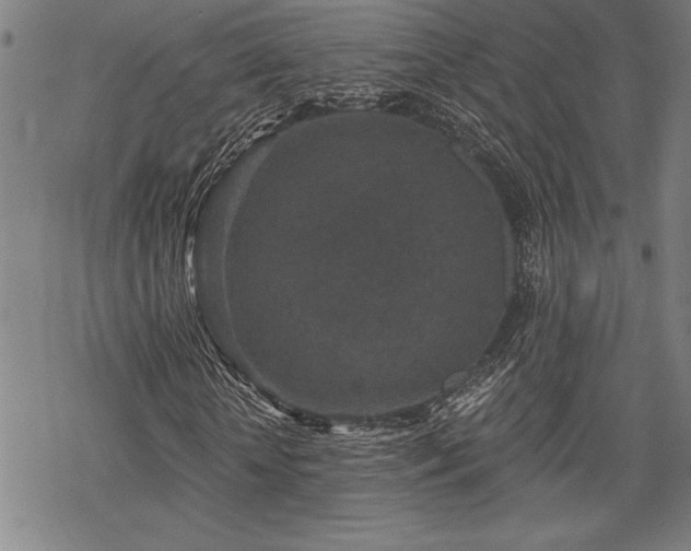 X0000069830818200605221204