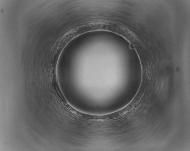 X0000069830821200605221204