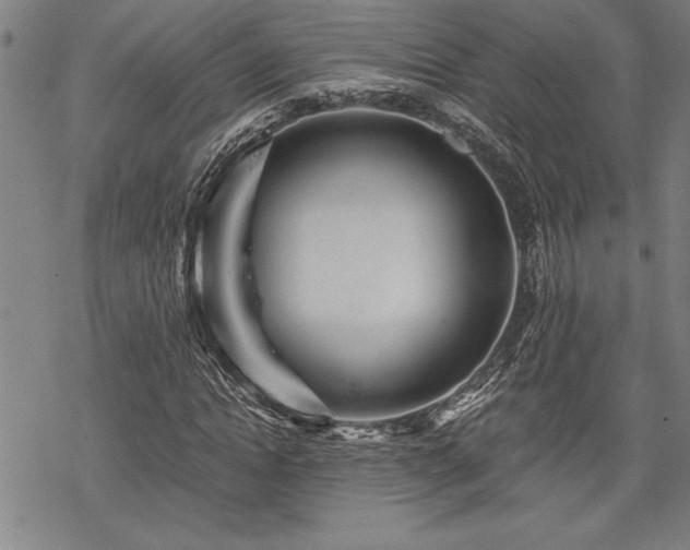 X0000069830822200605221204