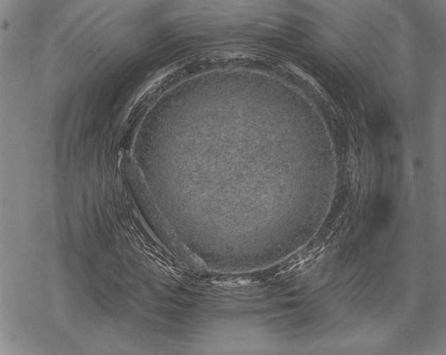 X0000069830823200605221204