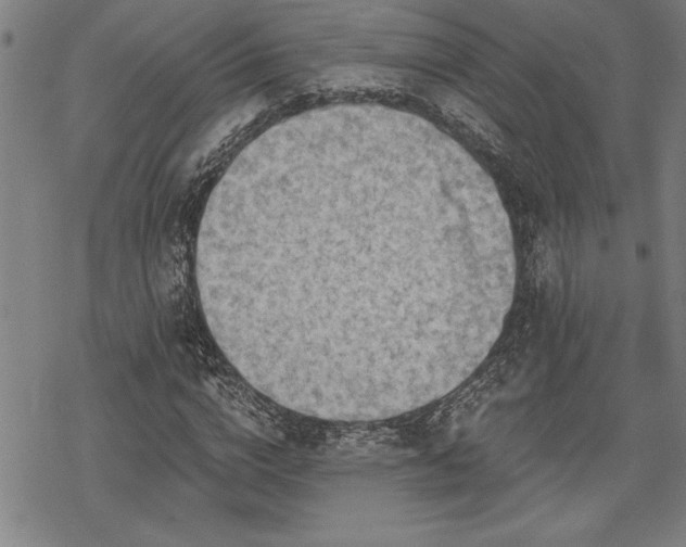 X0000069830824200605221204