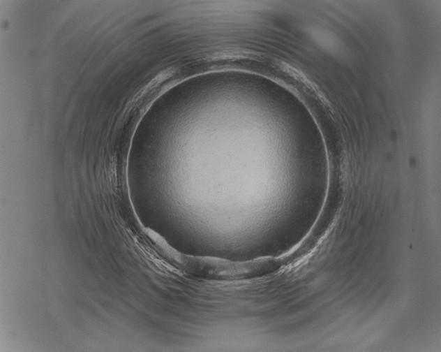 X0000069830825200605221204