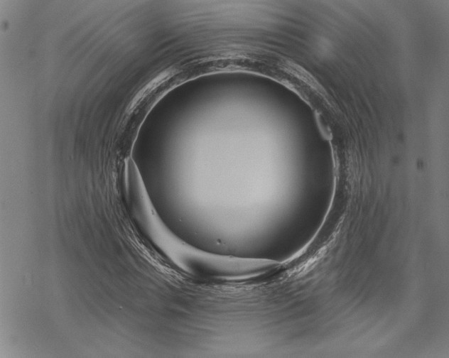 X0000069830826200605221204