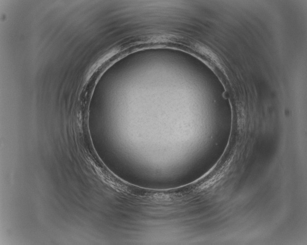 X0000069830827200605221205