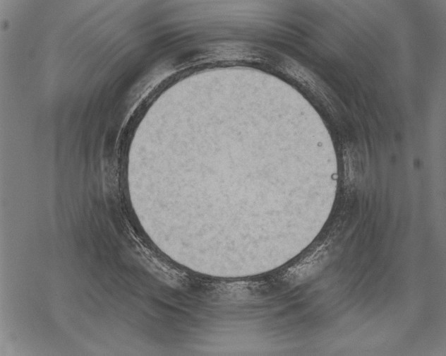 X0000069830828200605221205