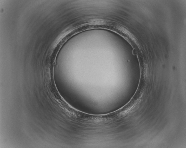 X0000069830829200605221205