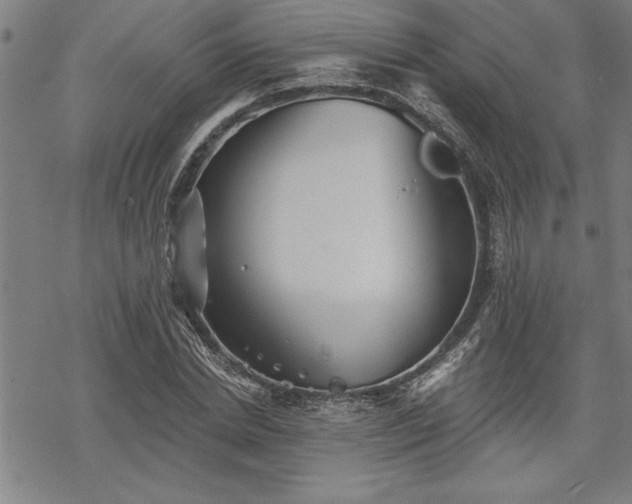 X0000069830830200605221205