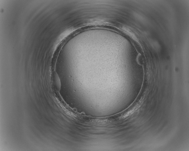 X0000069830831200605221205