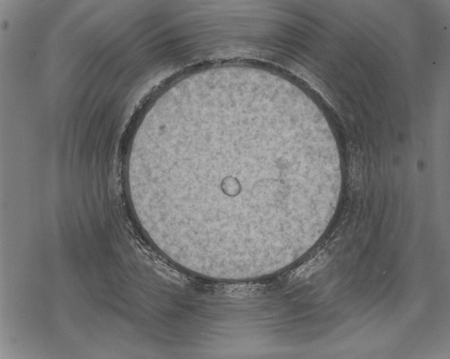 X0000069830832200605221205