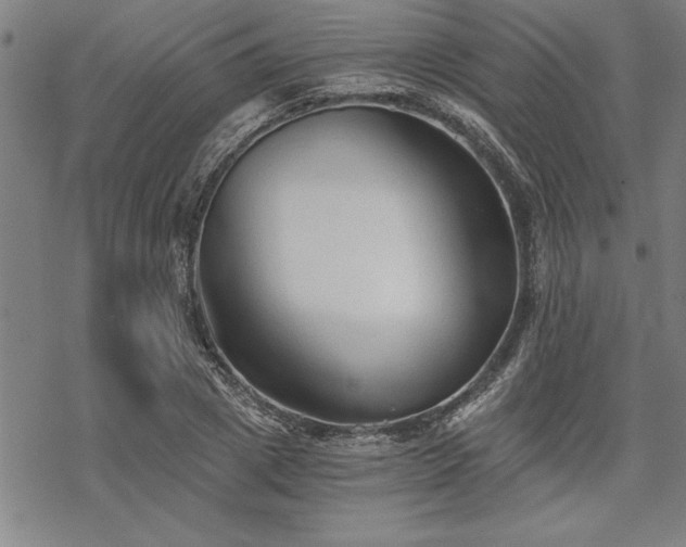 X0000069830833200605221205