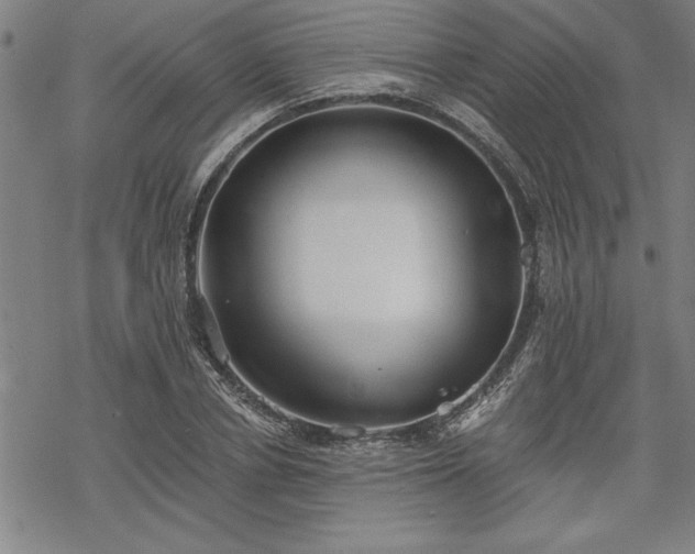 X0000069830834200605221205