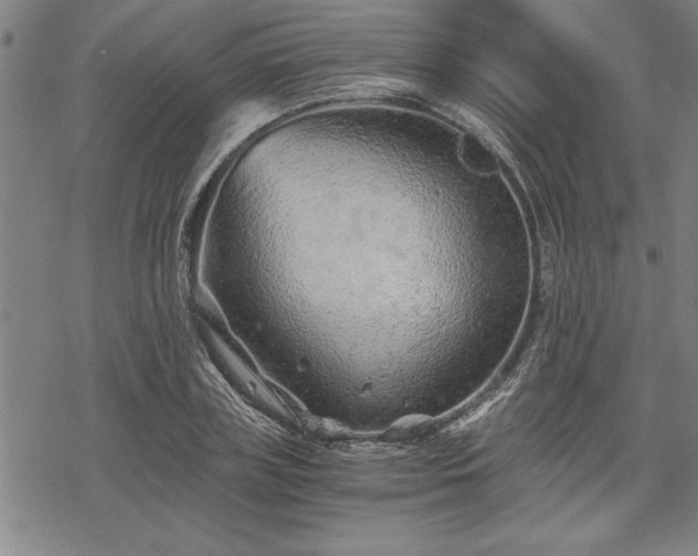 X0000069830835200605221205