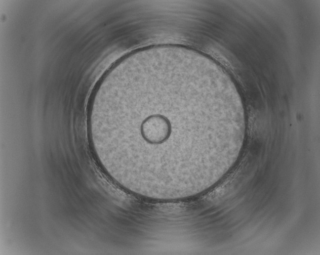 X0000069830836200605221205