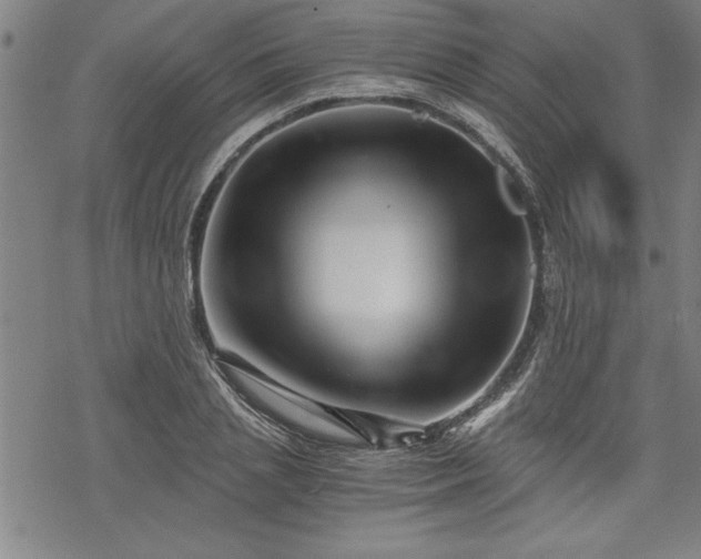 X0000069830837200605221205