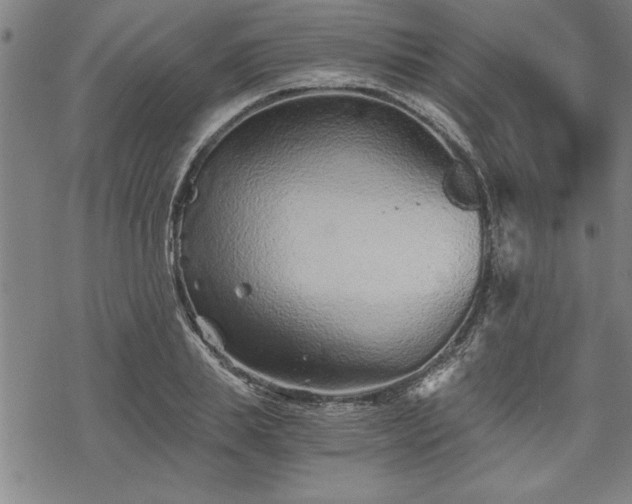 X0000069830839200605221205