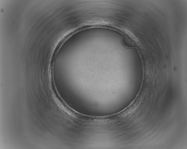 X0000069830840200605221205