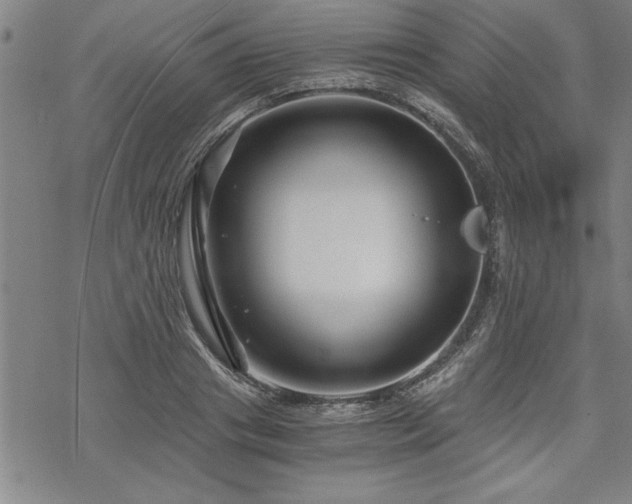 X0000069830841200605221205