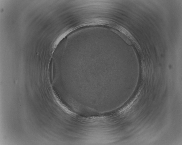 X0000069830842200605221205