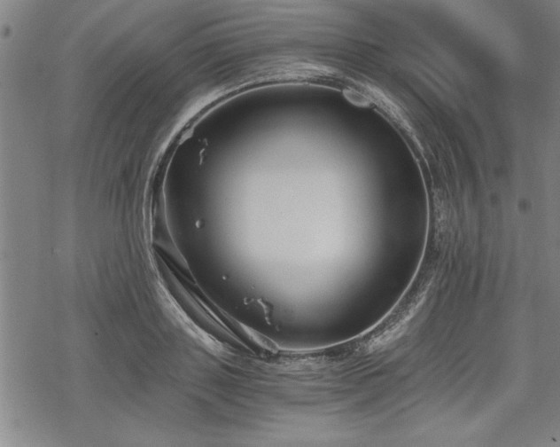 X0000069830843200605221205