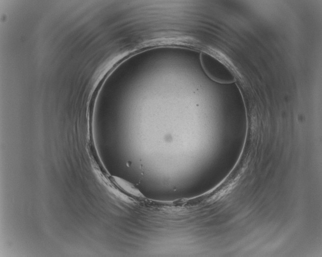 X0000069830844200605221205