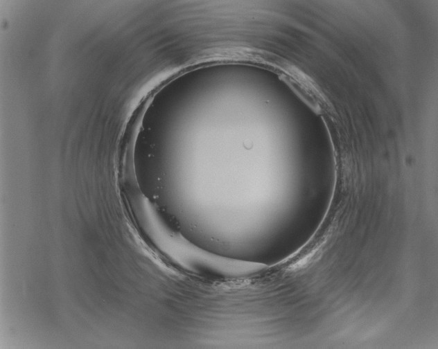 X0000069830846200605221205