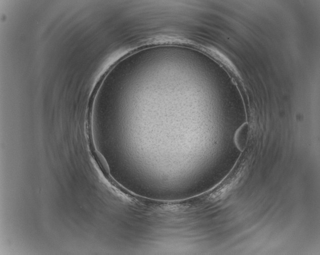 X0000069830847200605221205