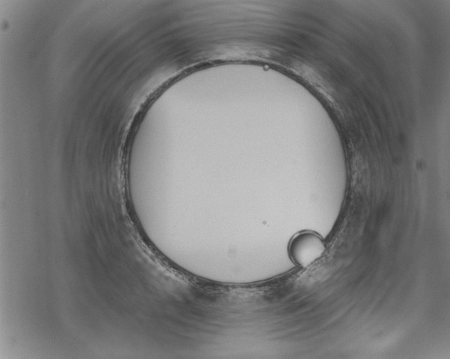 X0000069830848200605221205