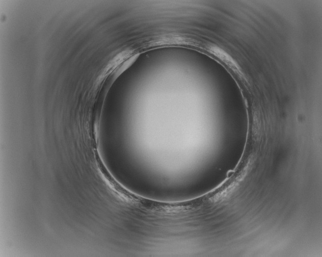 X0000069830849200605221205